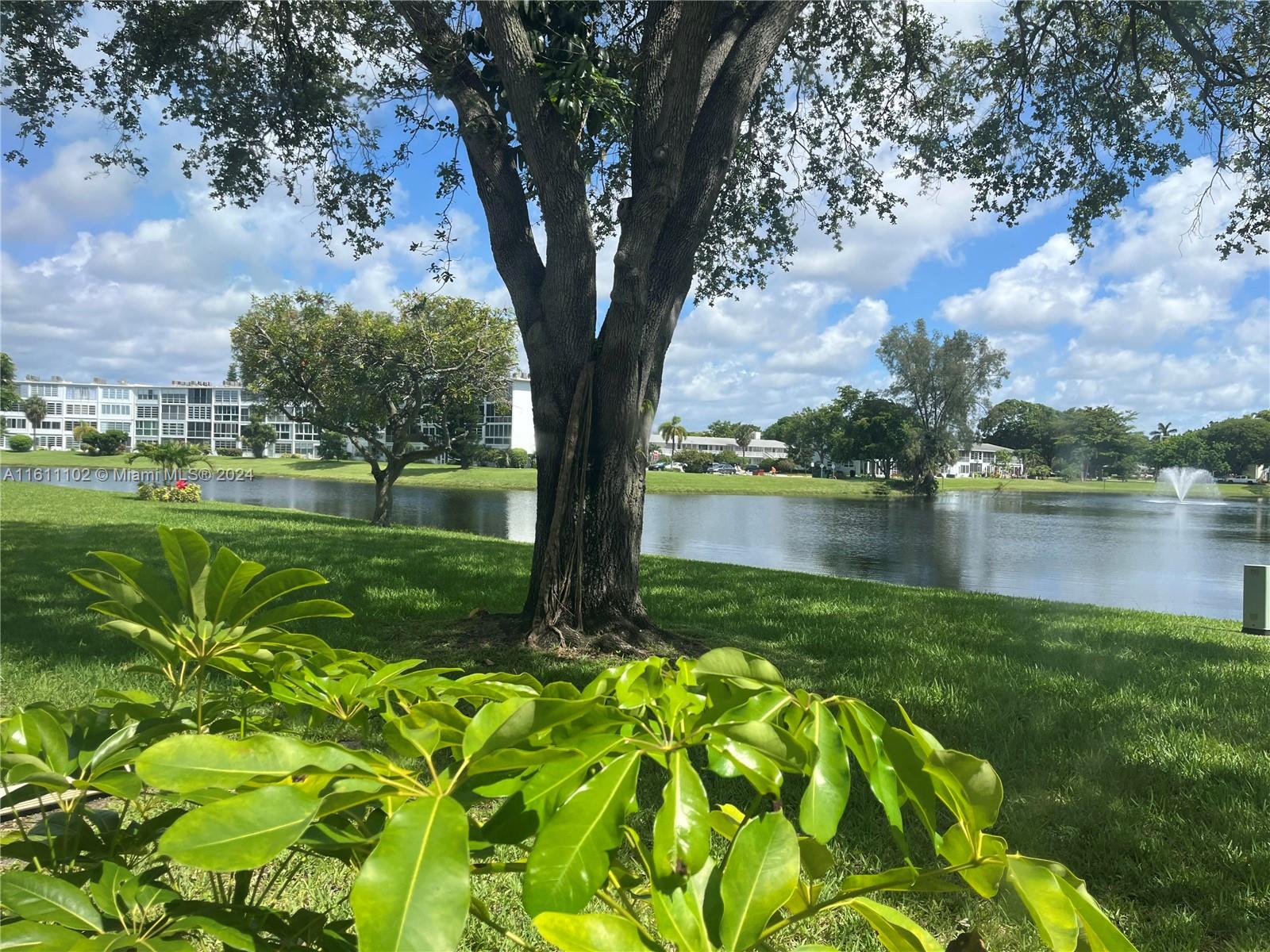 a view of a garden with a tree