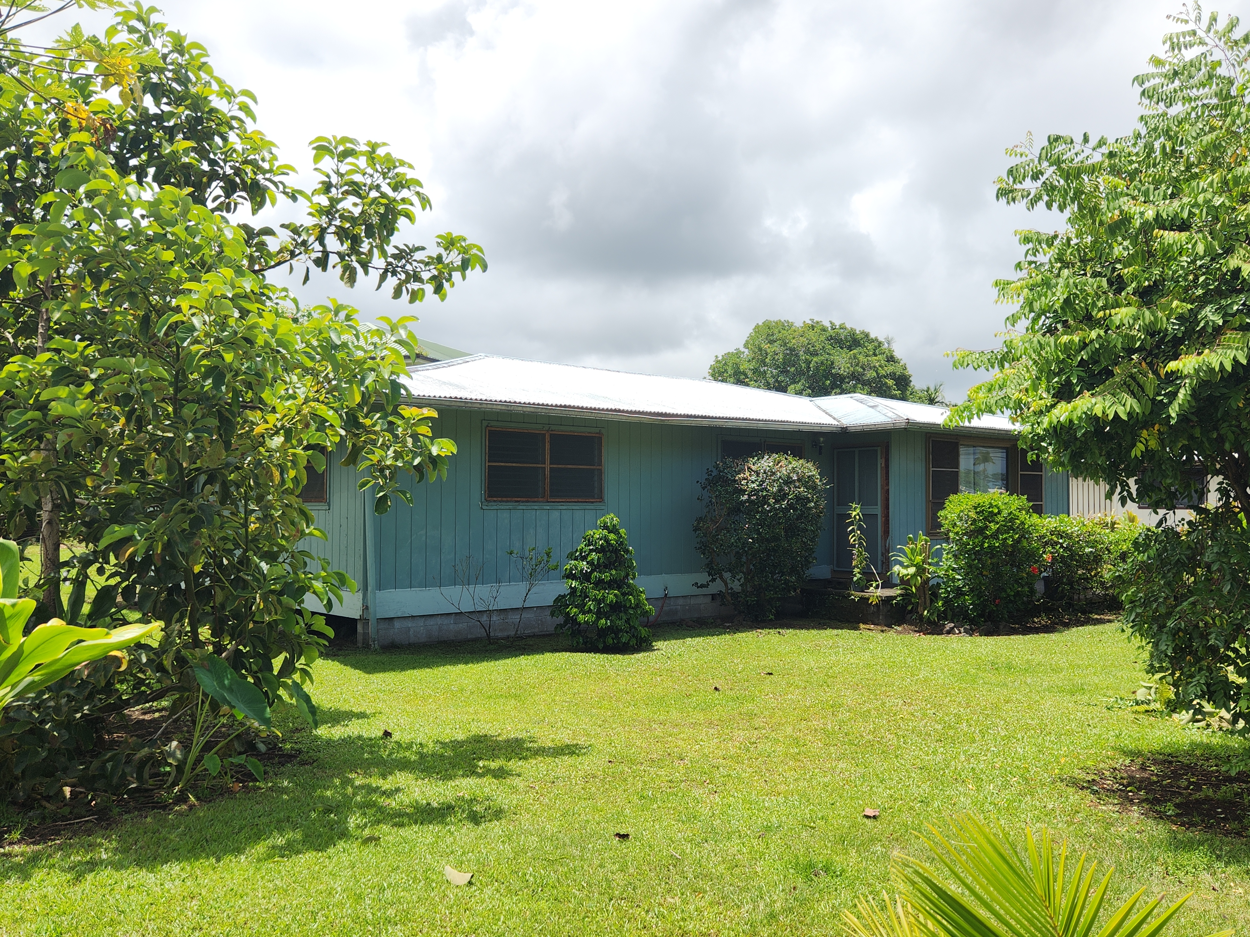 a front view of a house with yard and green space