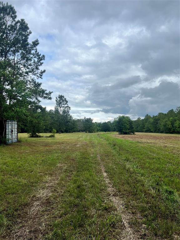 a view of a green field with an trees