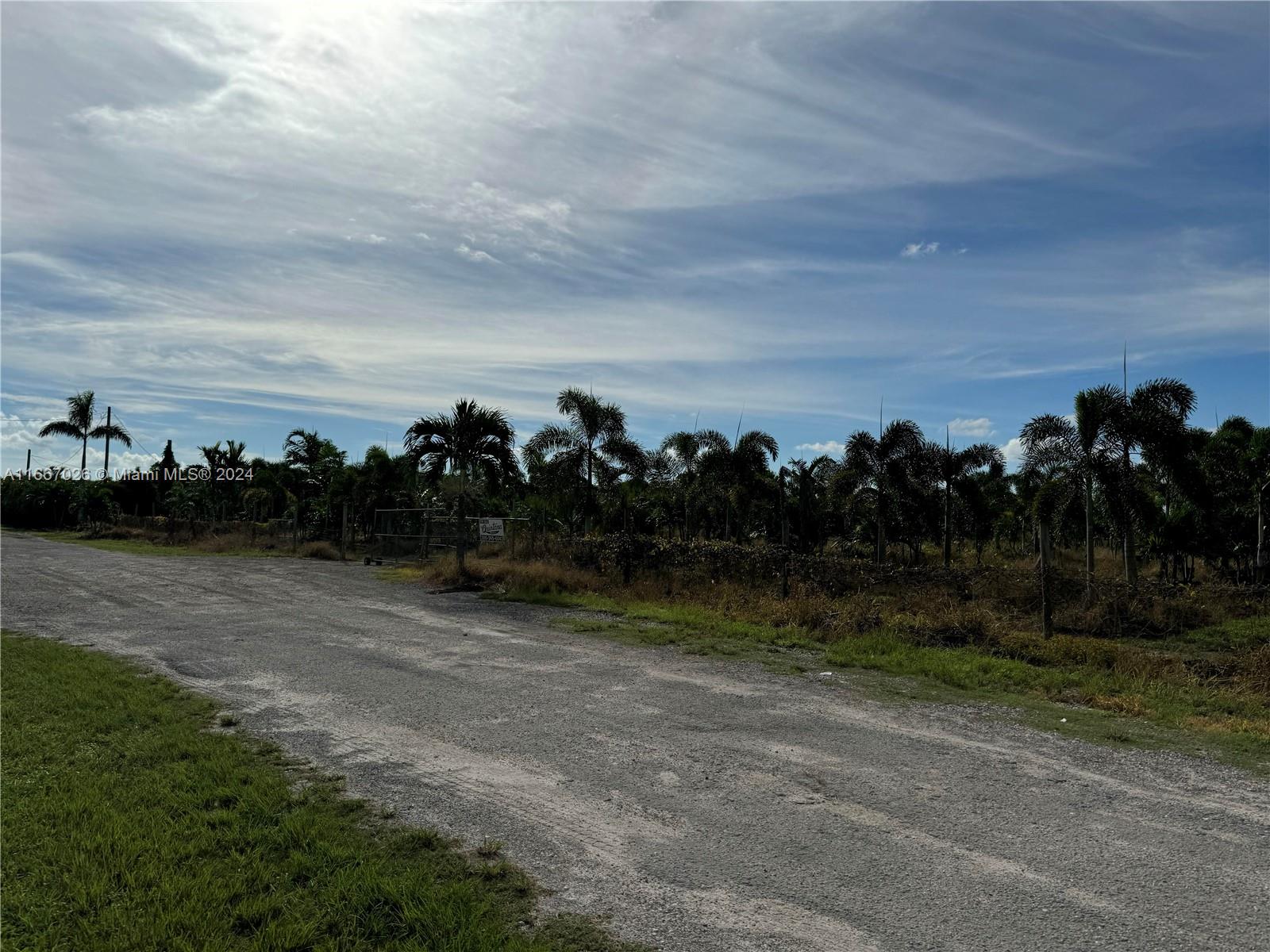 a view of a park