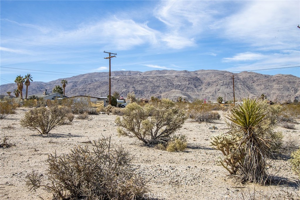 a view of a dry yard with wooden fence