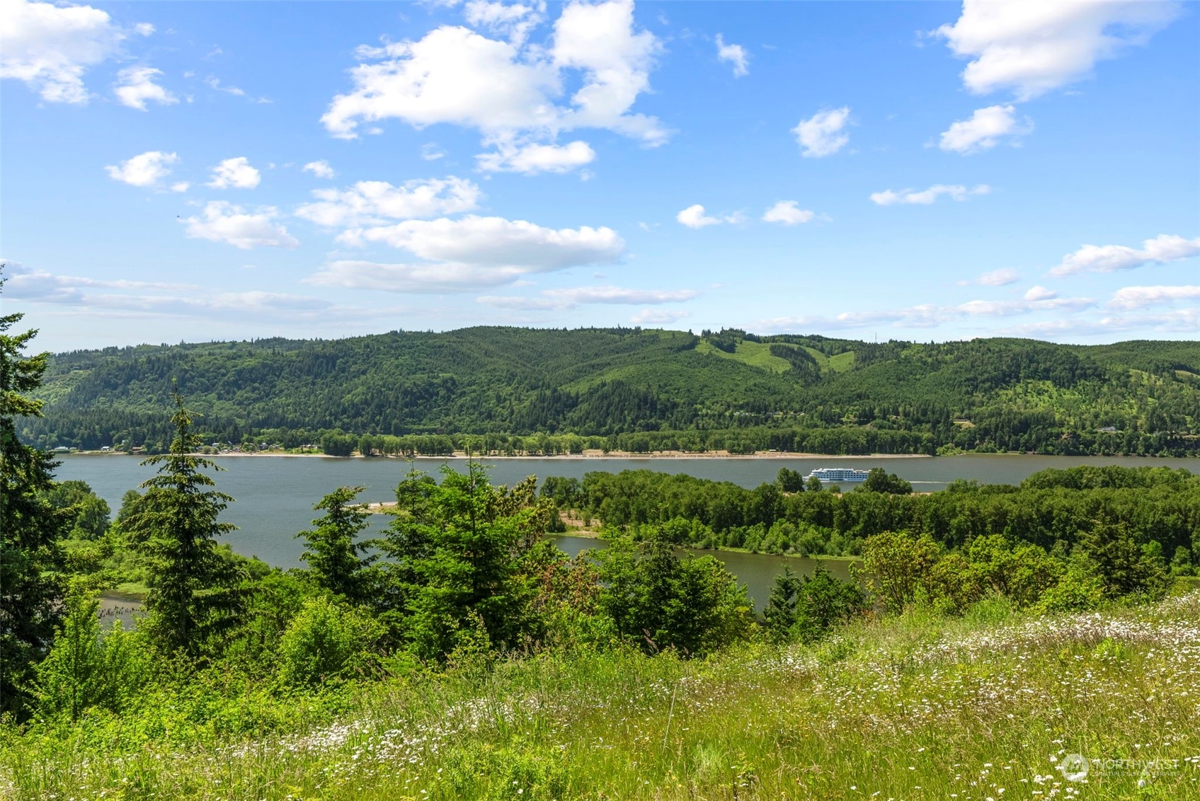 a view of a lake with green space