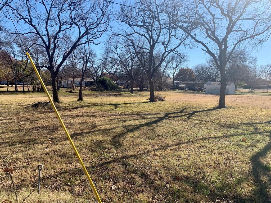 a view of a yard with trees