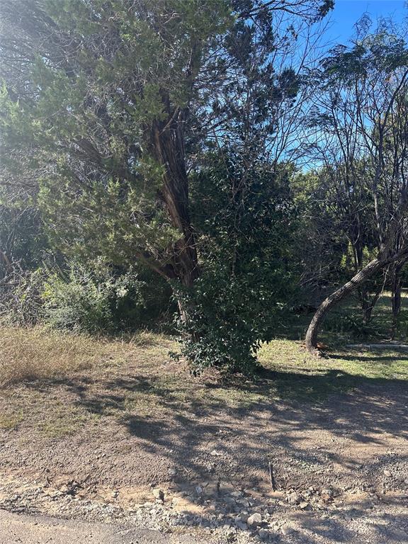 a view of a yard with plants