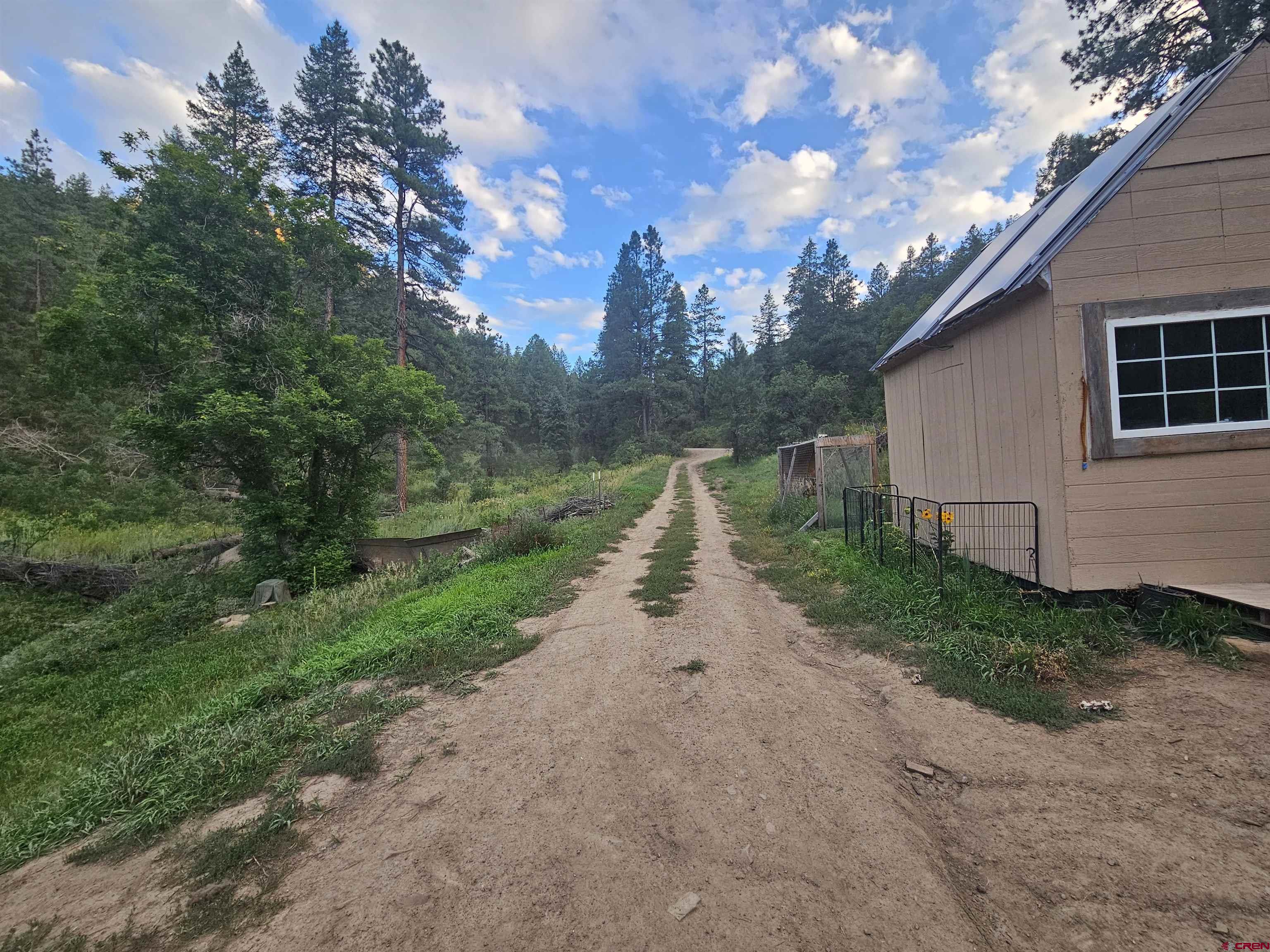 a view of a pathway with a yard