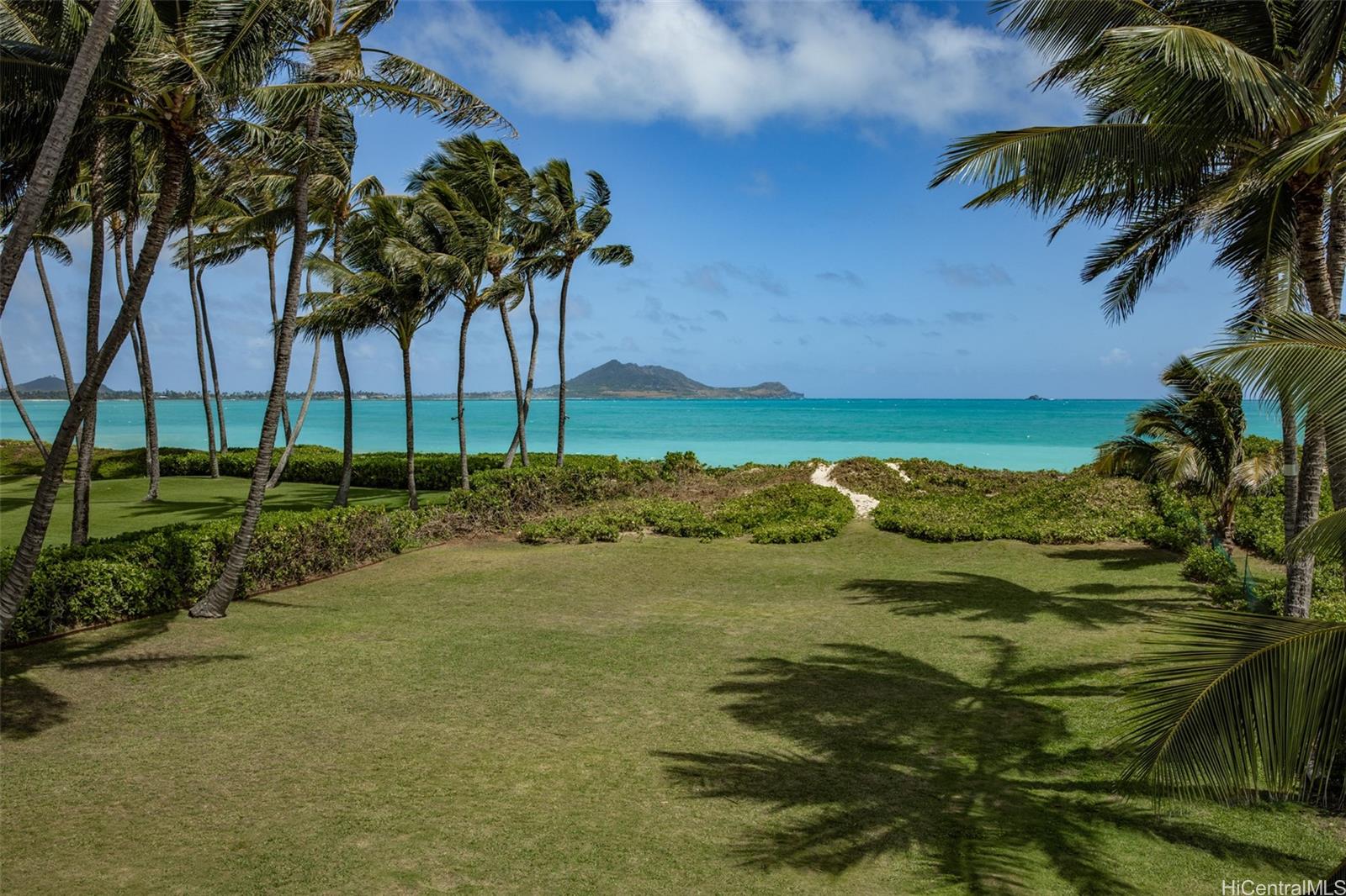 a view of an ocean from a yard