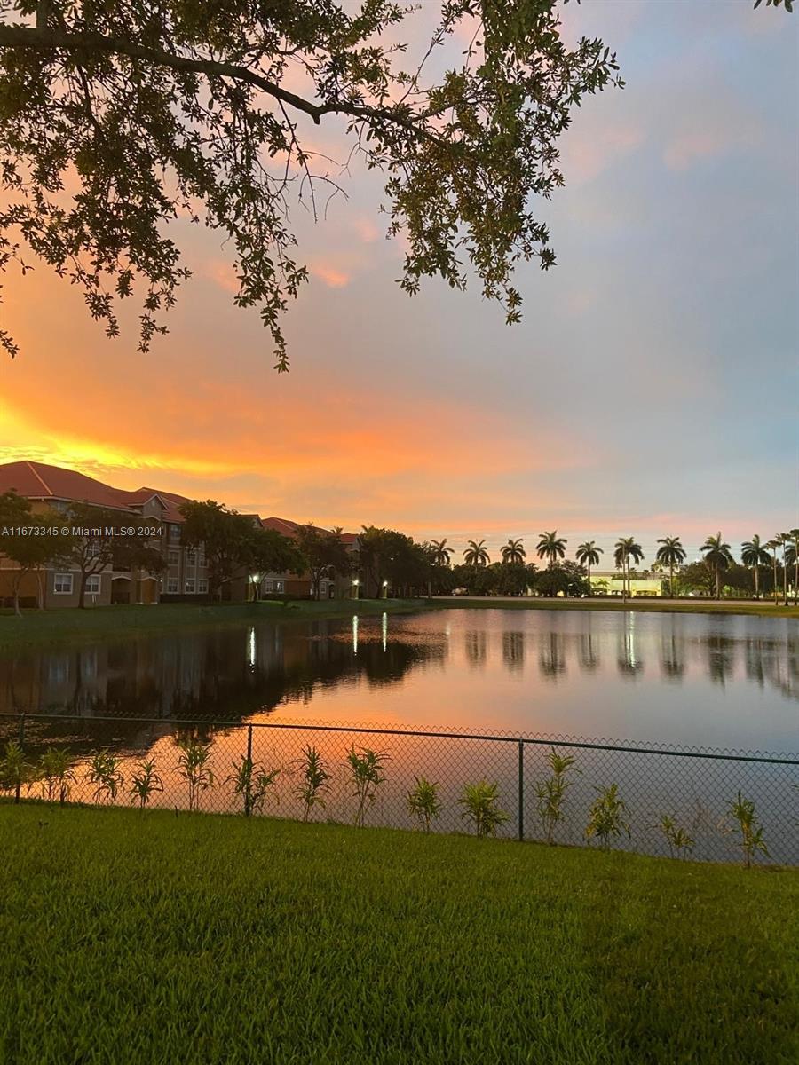 a view of a lake from a yard