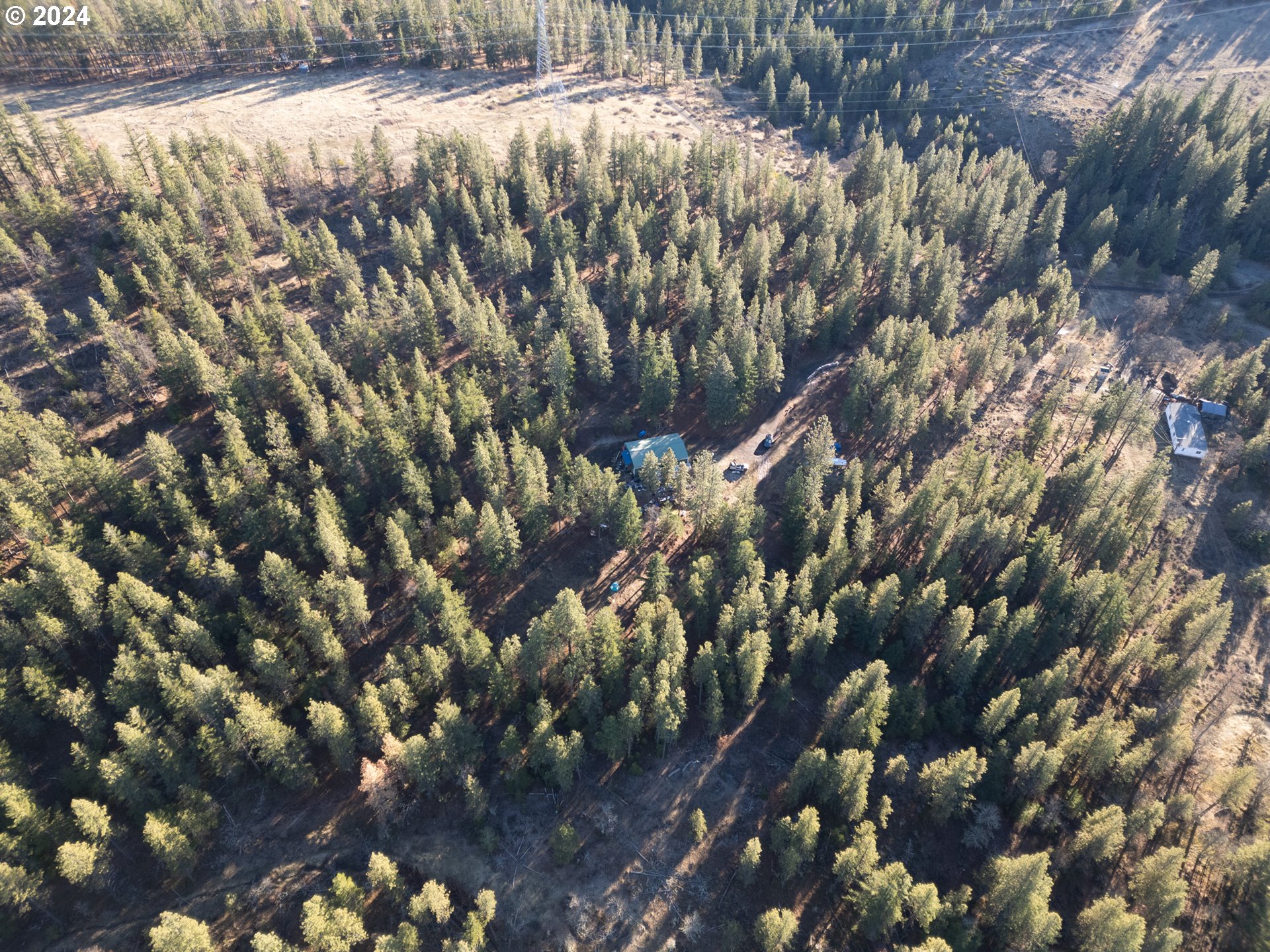 a backyard of a house with a lot of trees