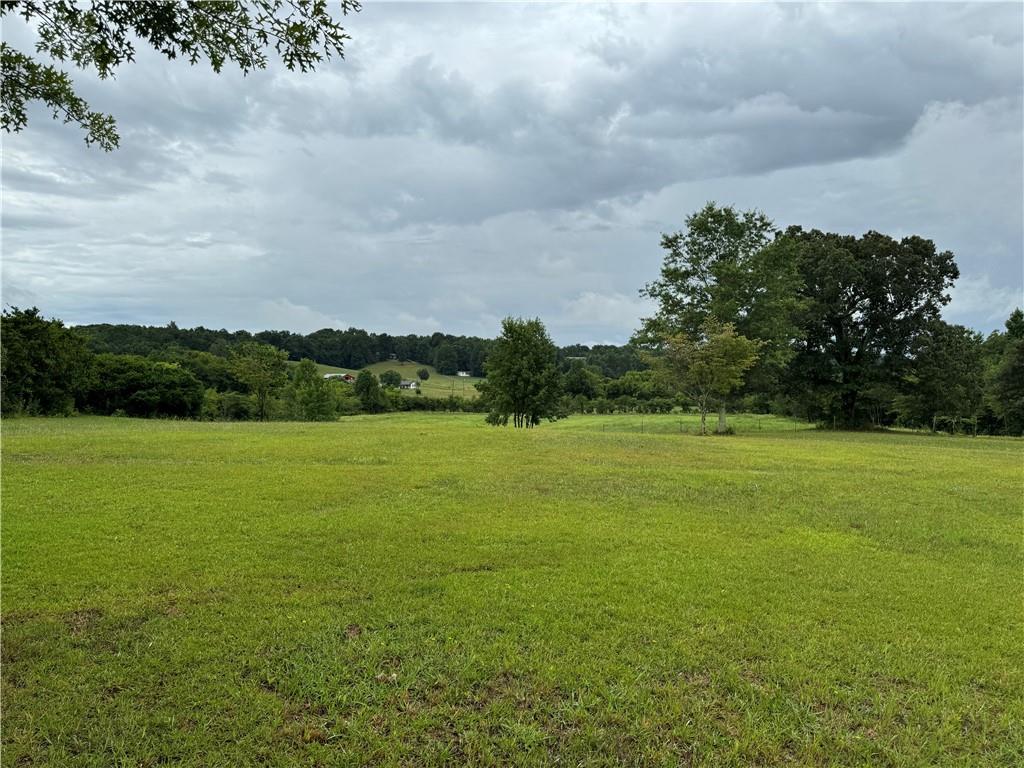 a view of a field with an trees in the background