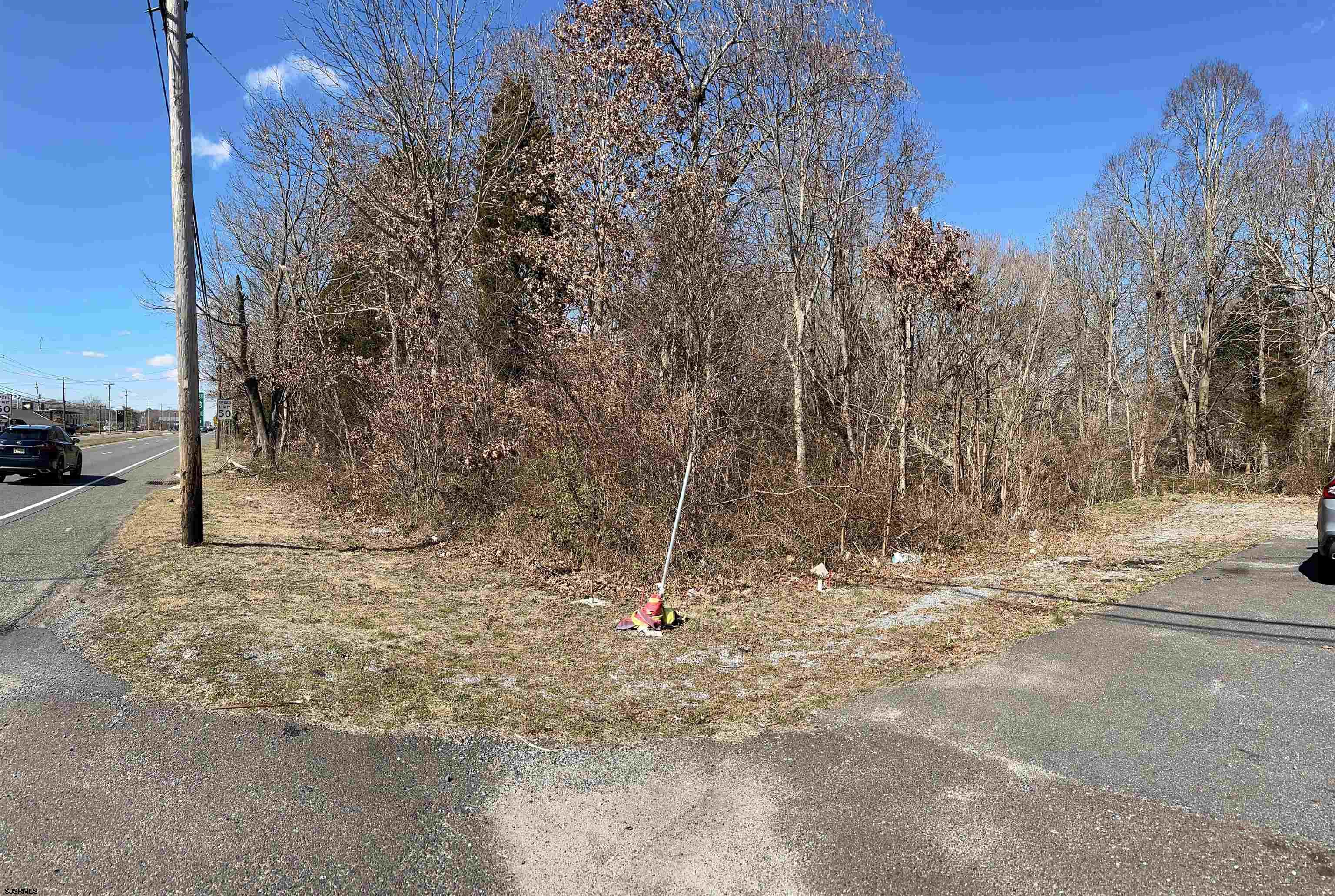 a view of a yard with large trees