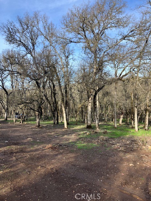 a view of outdoor space with trees