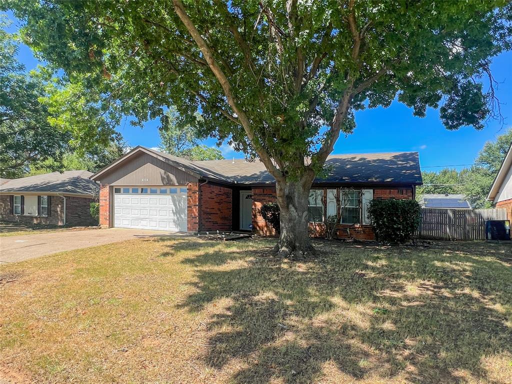 a tree in front of a house with a large tree