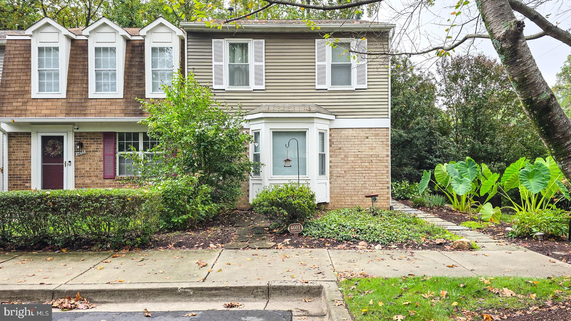 a front view of a house with a yard and a tree