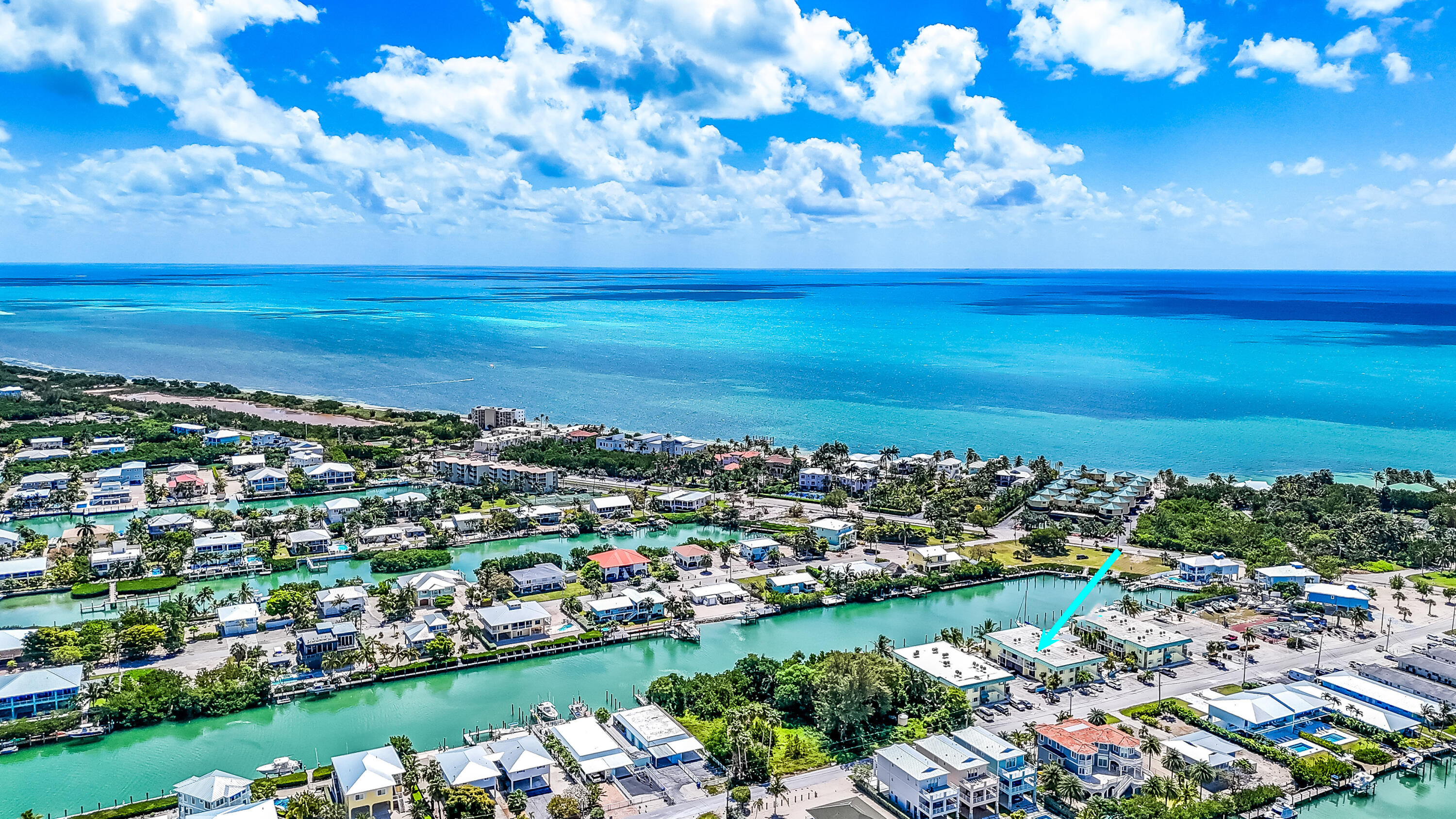 a view of a city with an ocean