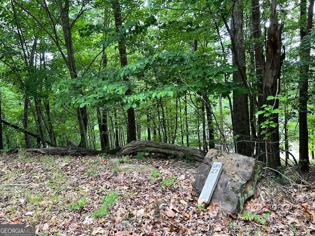 a view of a backyard with trees