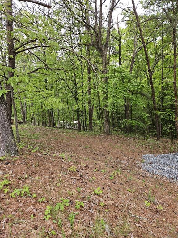 a view of outdoor space and yard