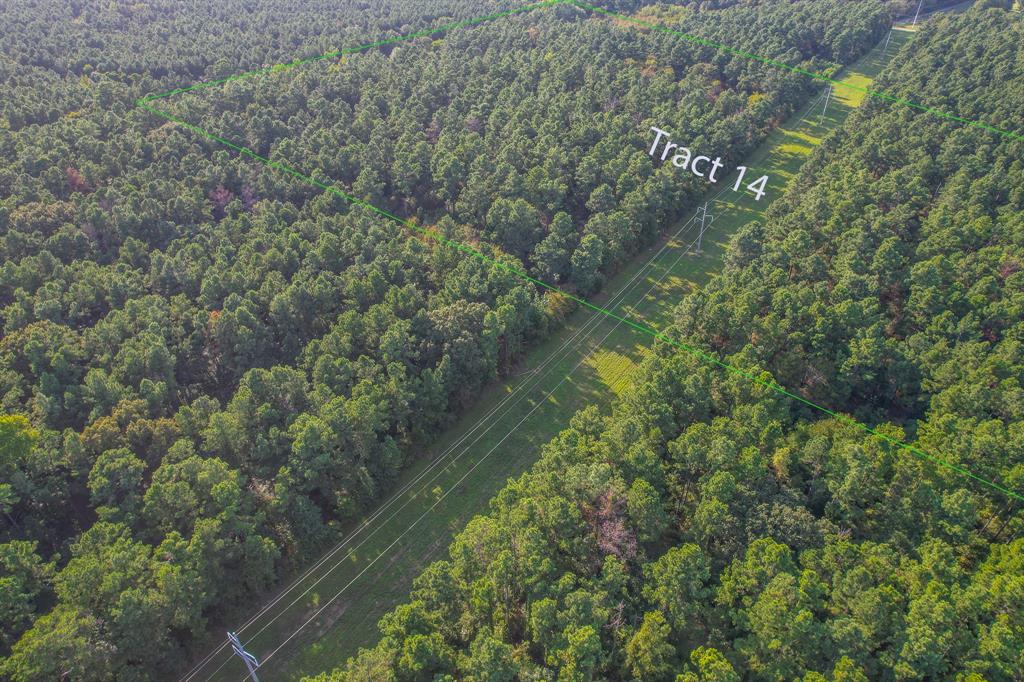 a view of a forest with a lake