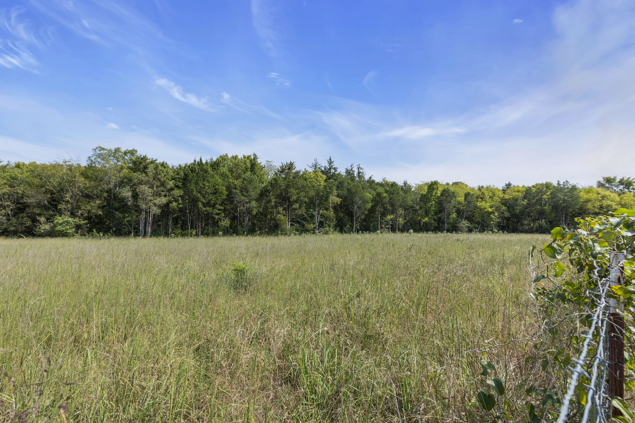 View from the front left fence line towards the right side of the property.