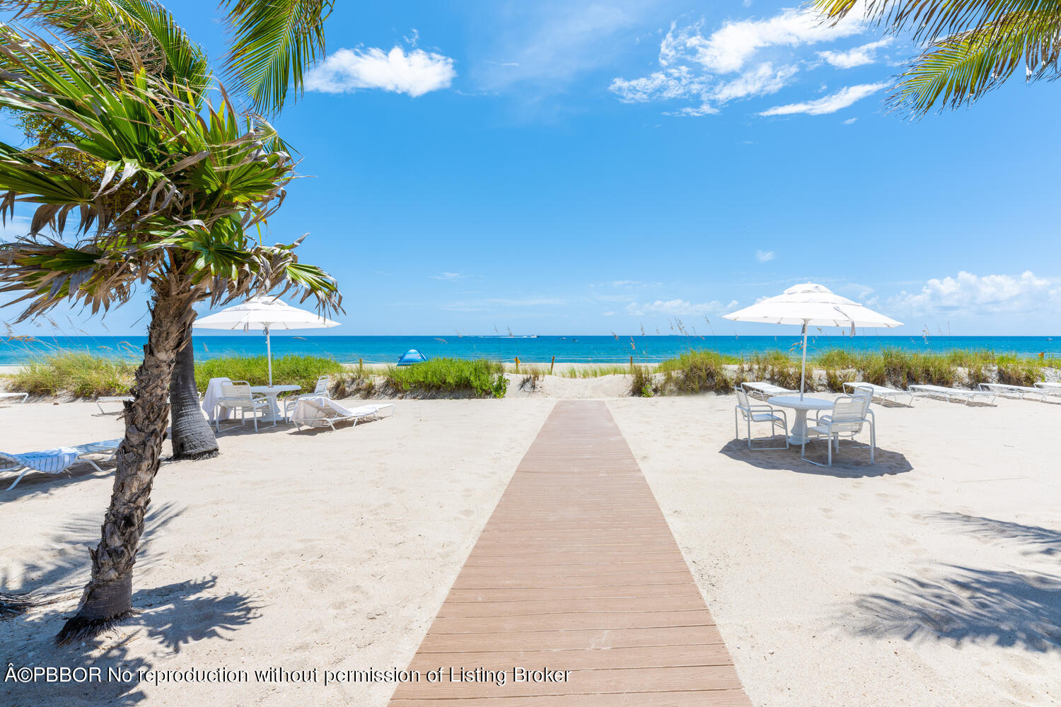 Beach Boardwalk