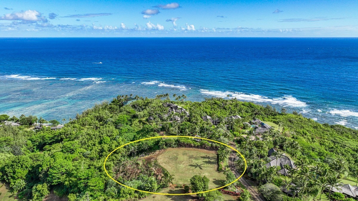 a view of an ocean and beach