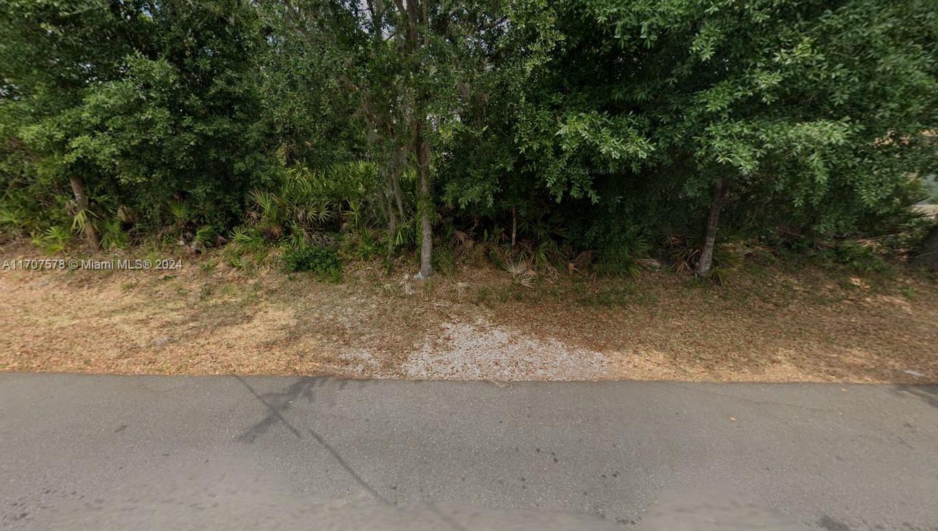 a view of a dry yard with trees in the background