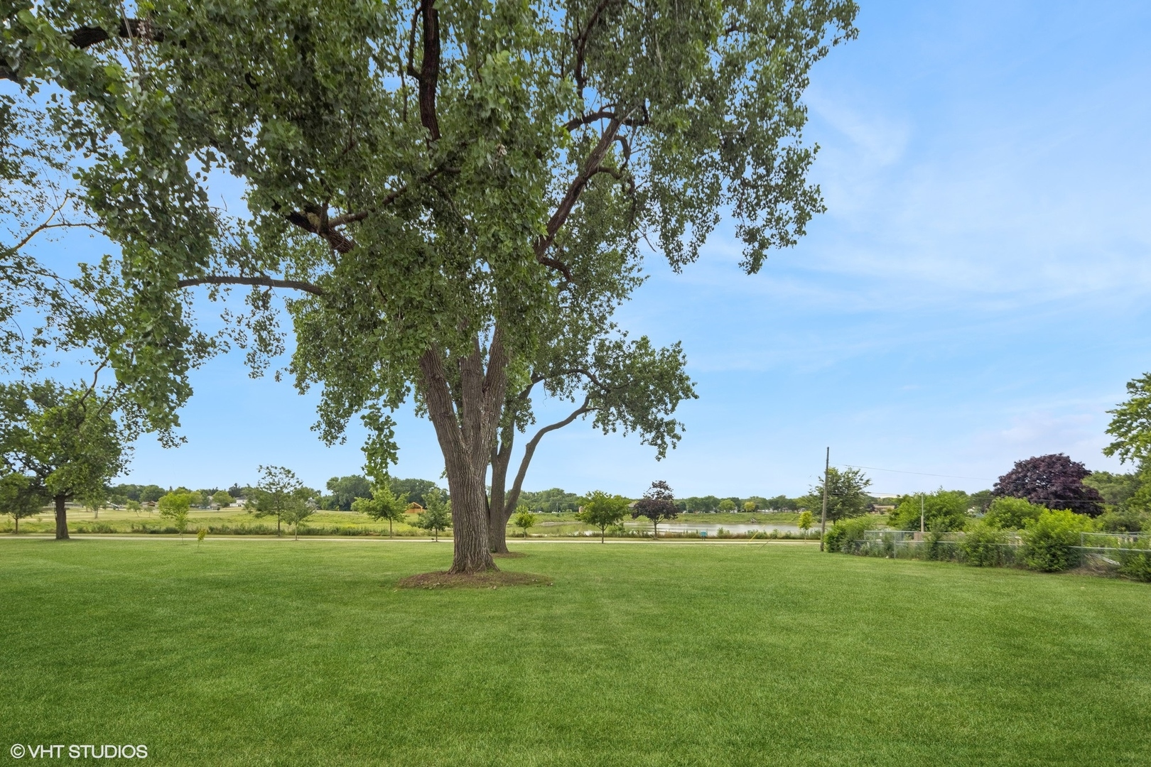 a view of a grassy field with an trees