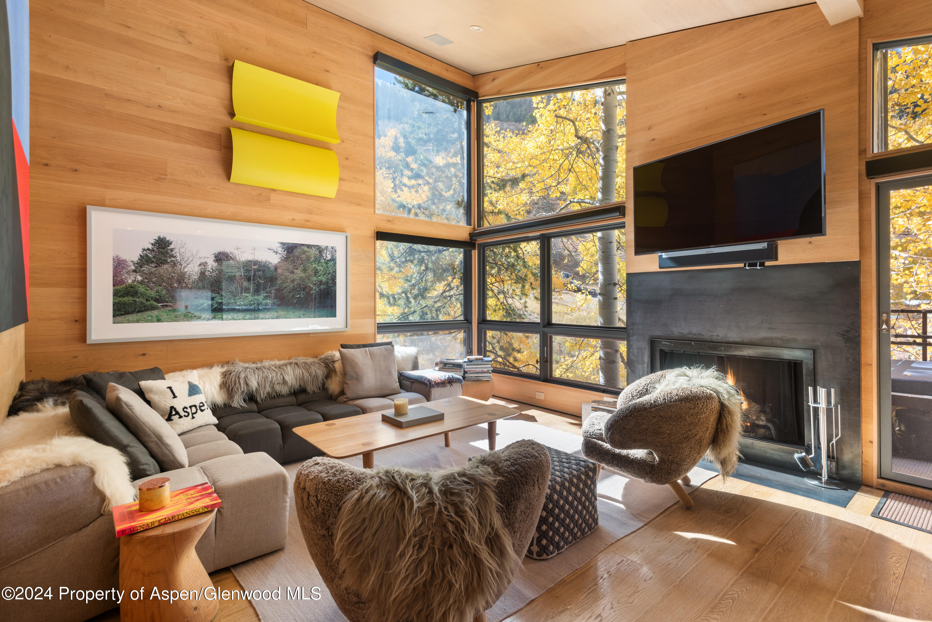 a living room with furniture a flat screen tv and a fireplace