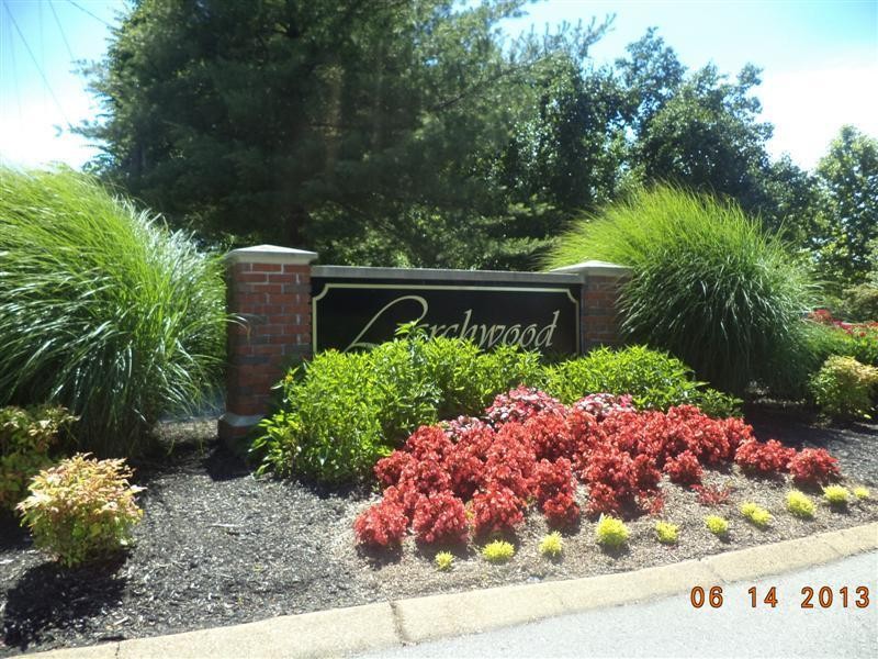 a view of a garden with plants