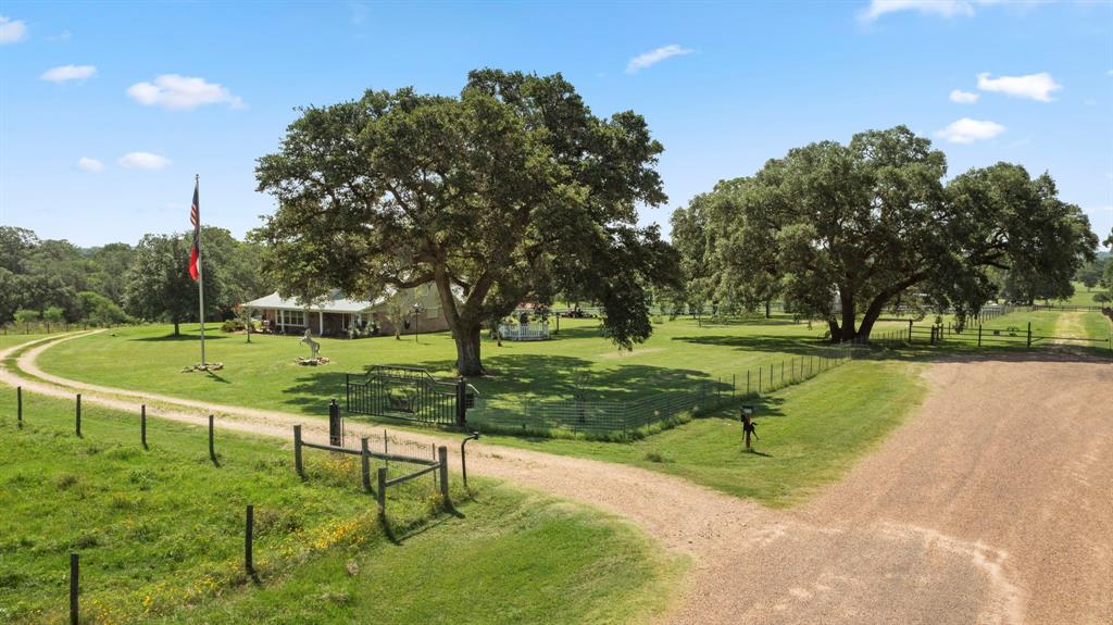 a view of a park with large trees