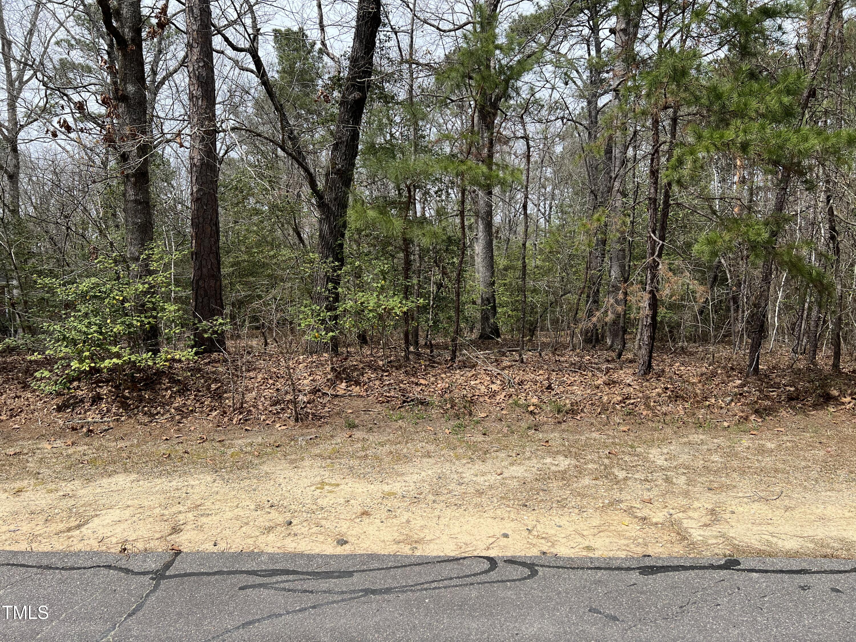 a view of a yard with trees