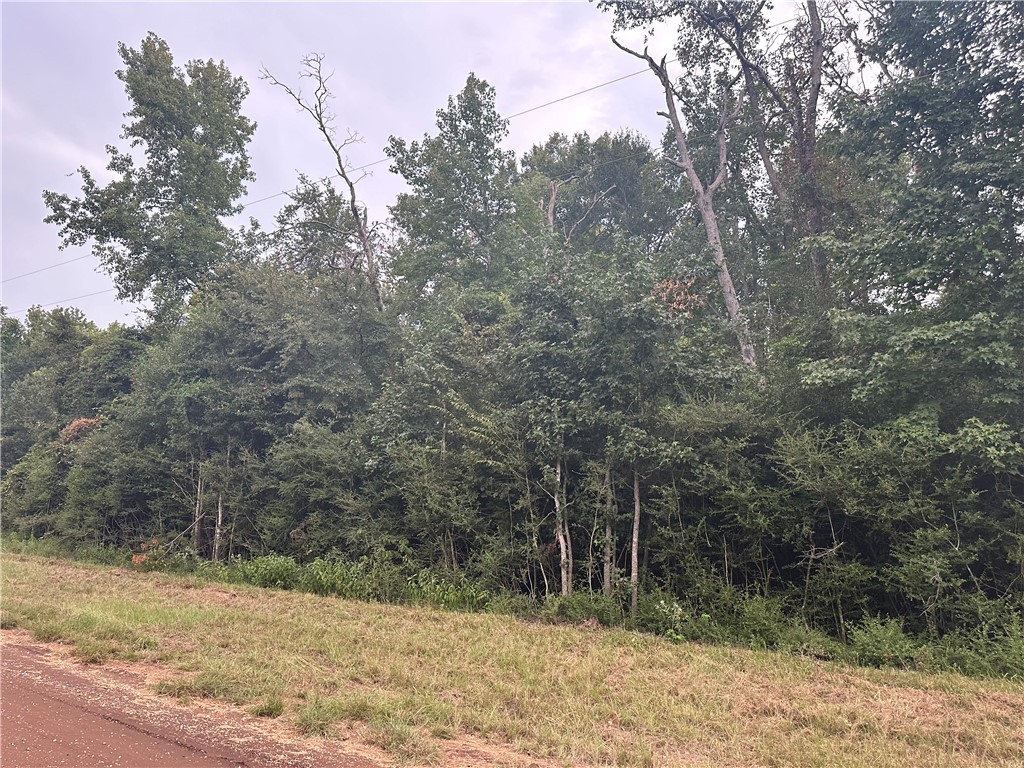 a view of a yard with trees