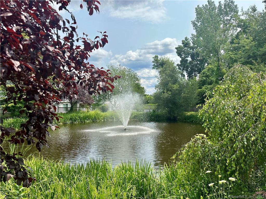 a view of a lake in between two of trees