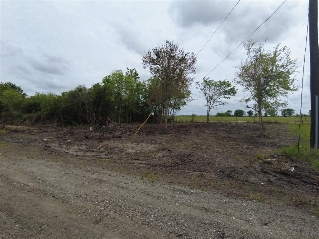 a view of a field with trees in background