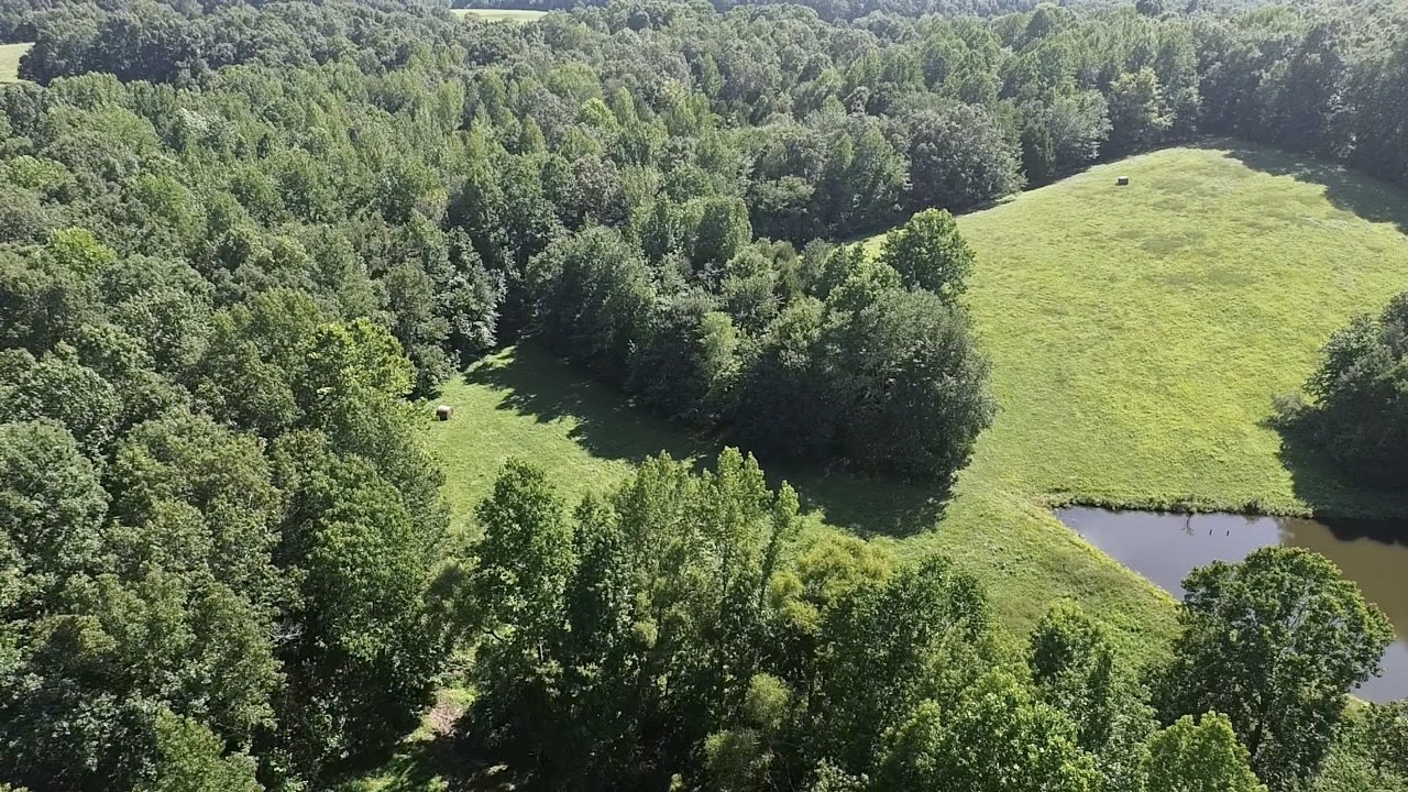 a view of a garden