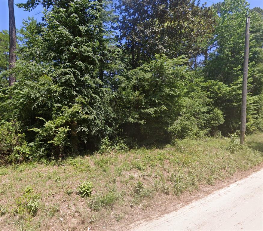 a view of a yard with plants and tree