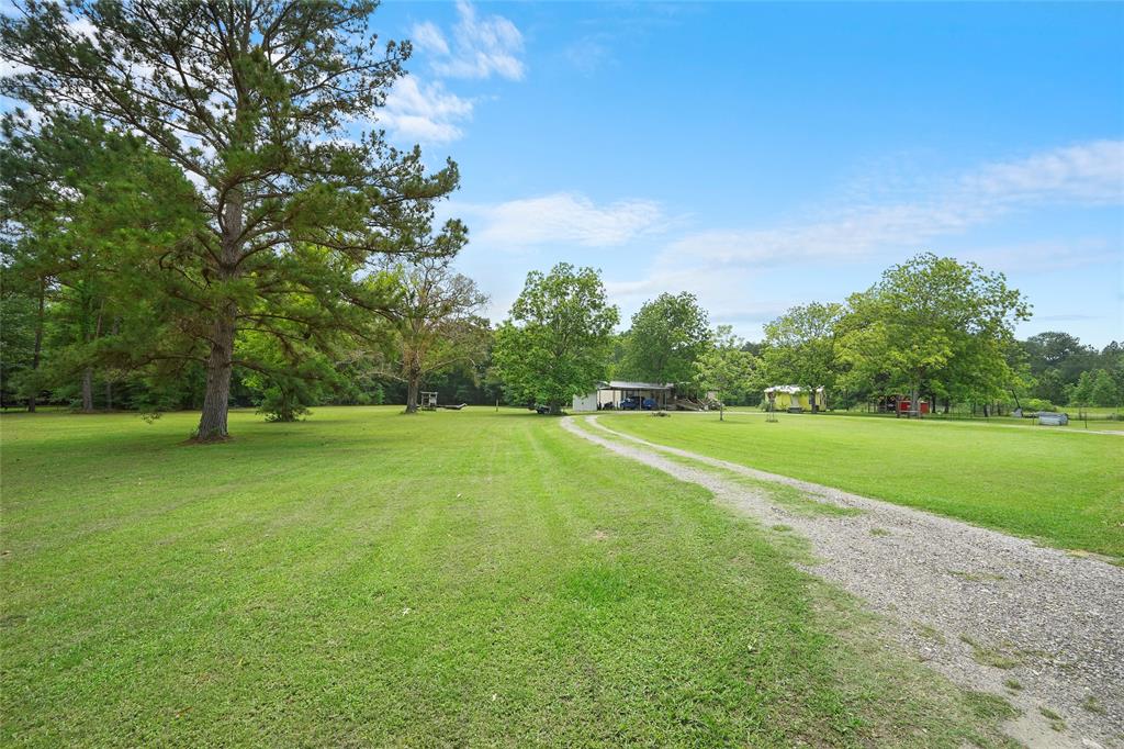 a view of a field of grass and trees