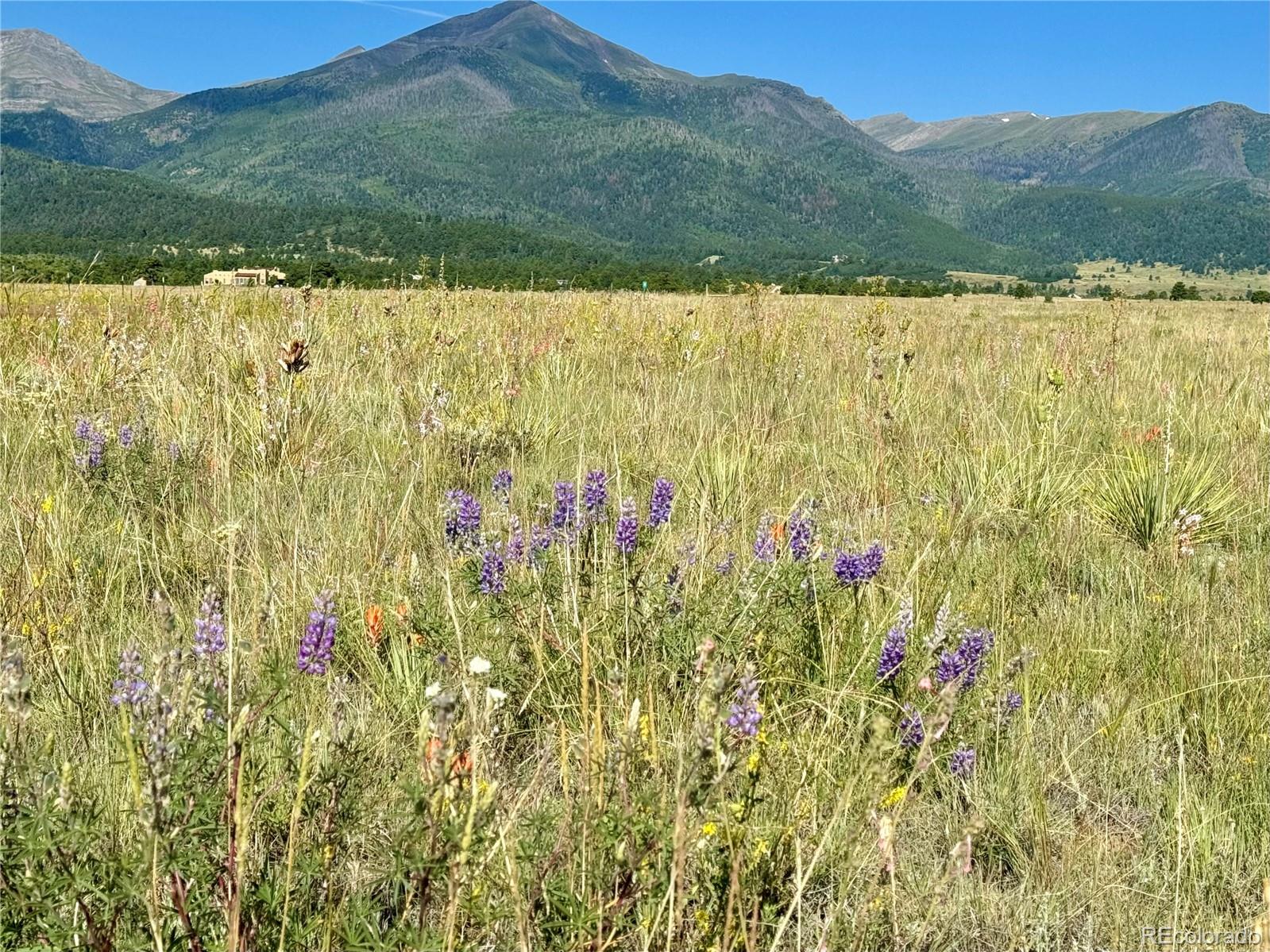 a view of a yard with a mountain