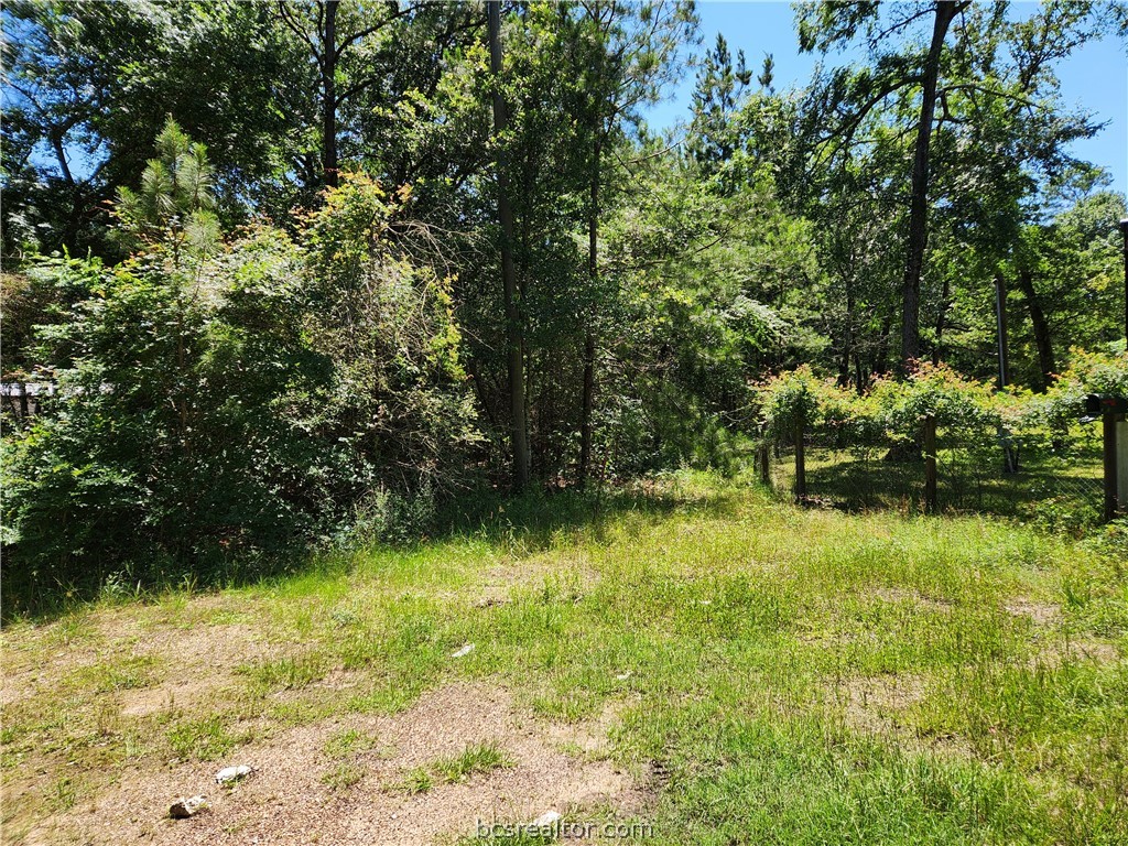 a view of yard with green space