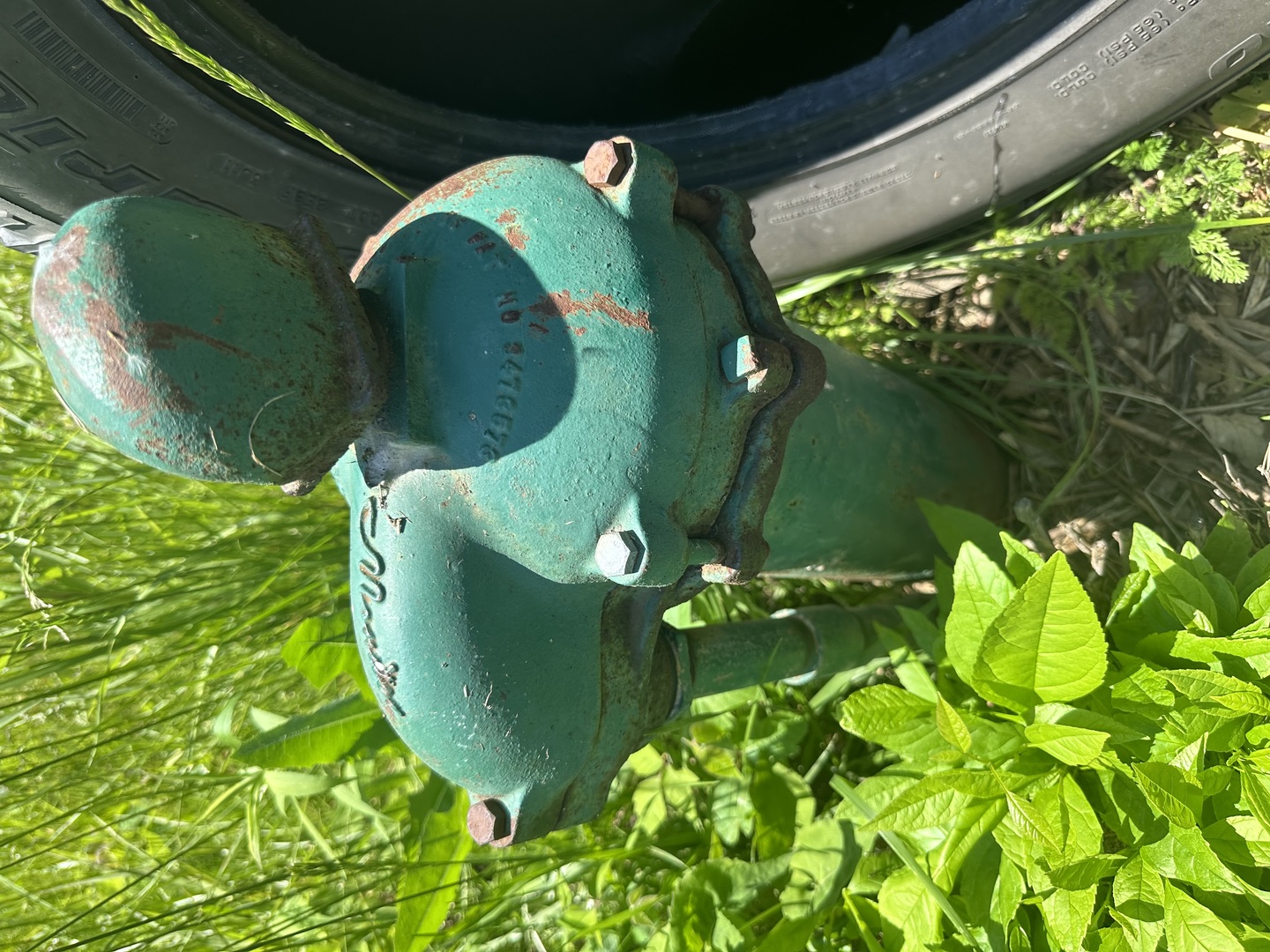 a view of a golf club with a flower in a garden