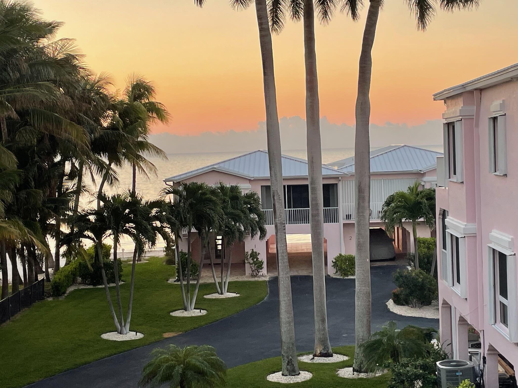 a park view with palm trees