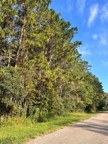 $55,000 | 0 County Road 427 Loop