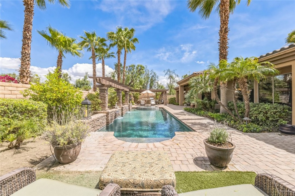 a view of a backyard with plants and palm trees