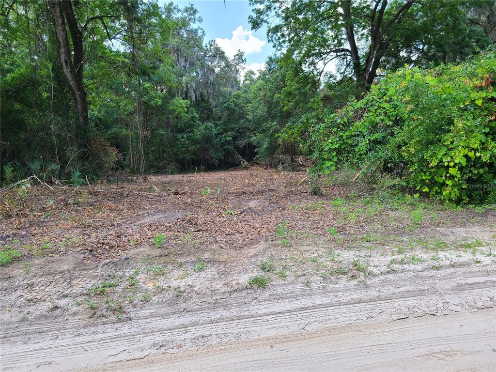 Clearing some of the land