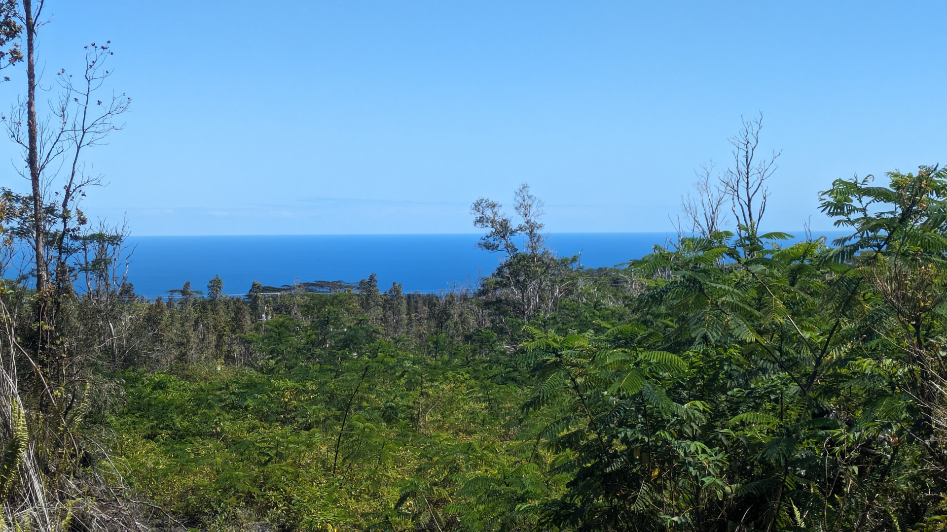 a view of a yard and an ocean