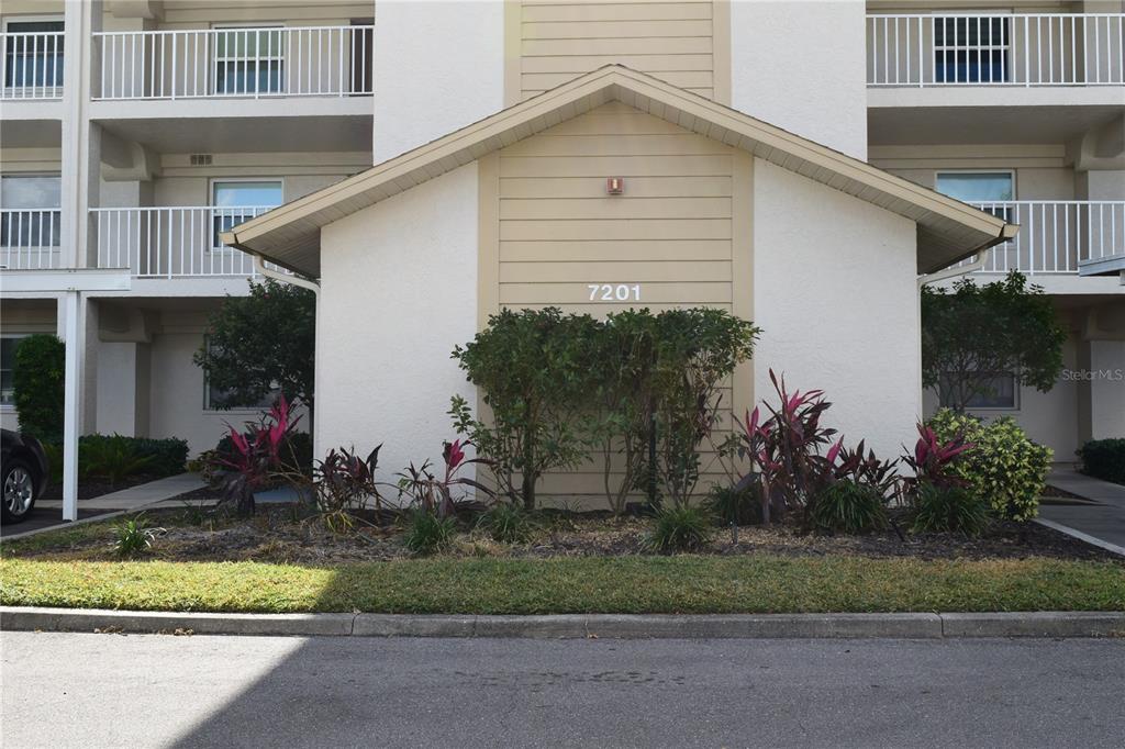 a view of a house and a yard