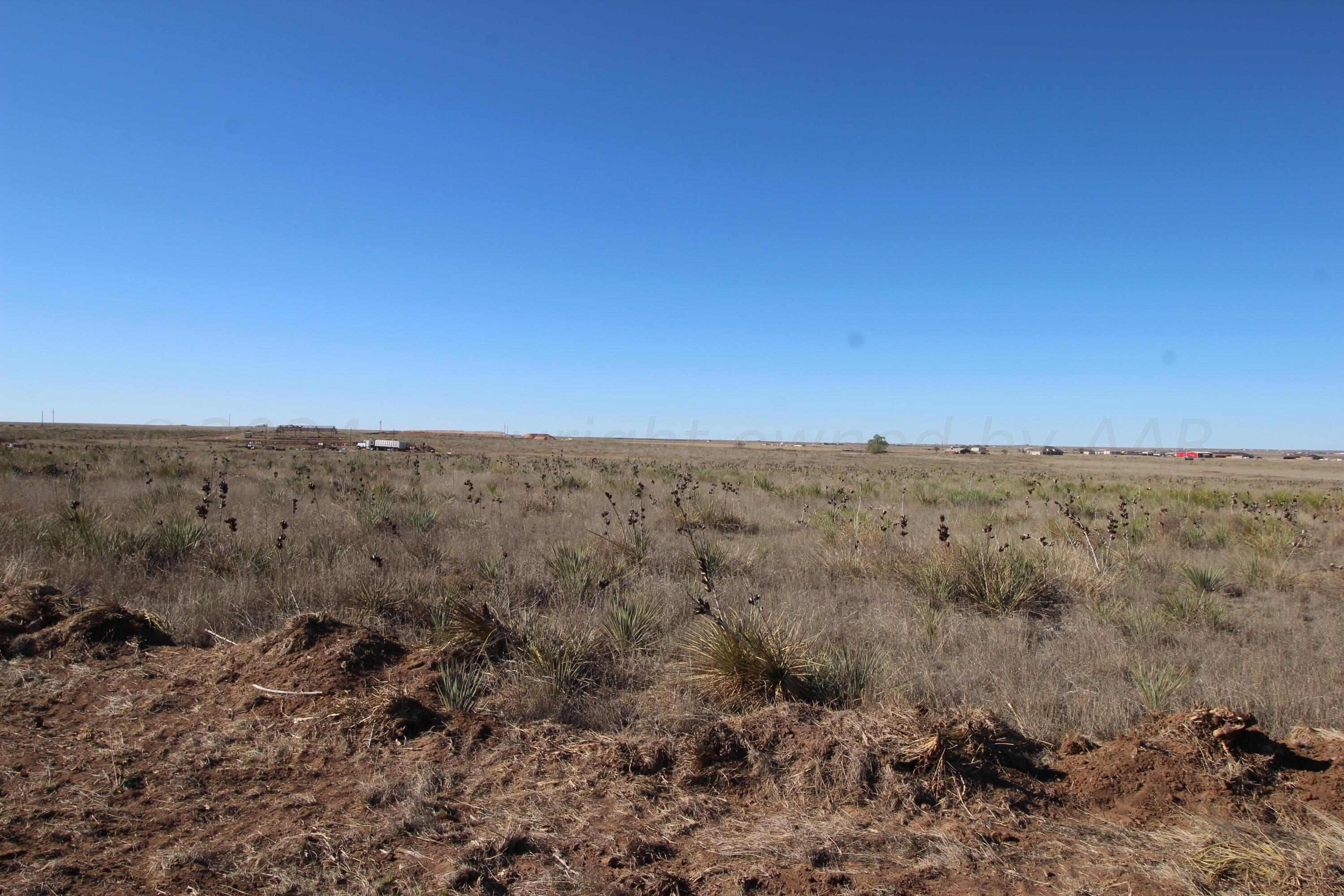 a view of a dry field with trees in the background