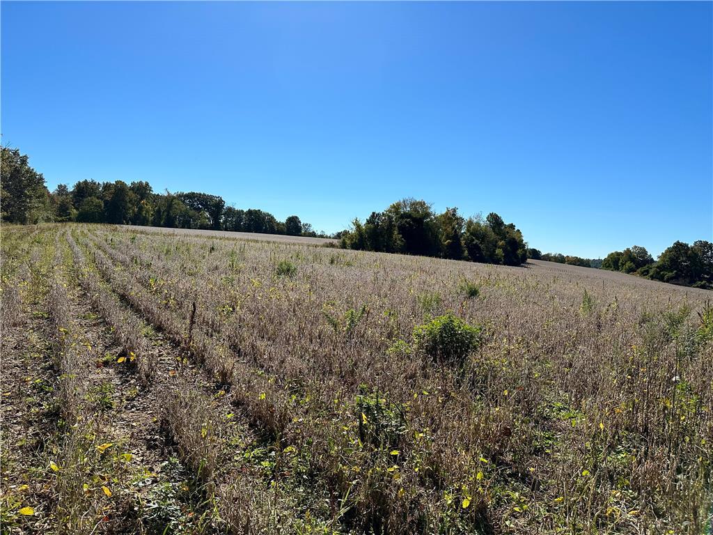 a view of a field