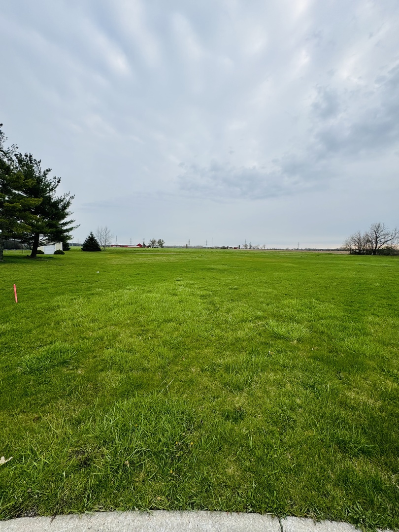 a view of a field with plants and large trees