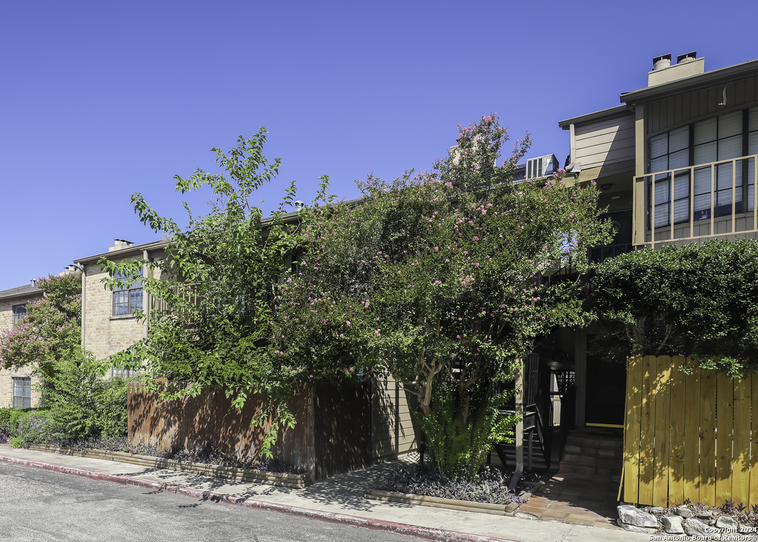 front view of a house with a tree