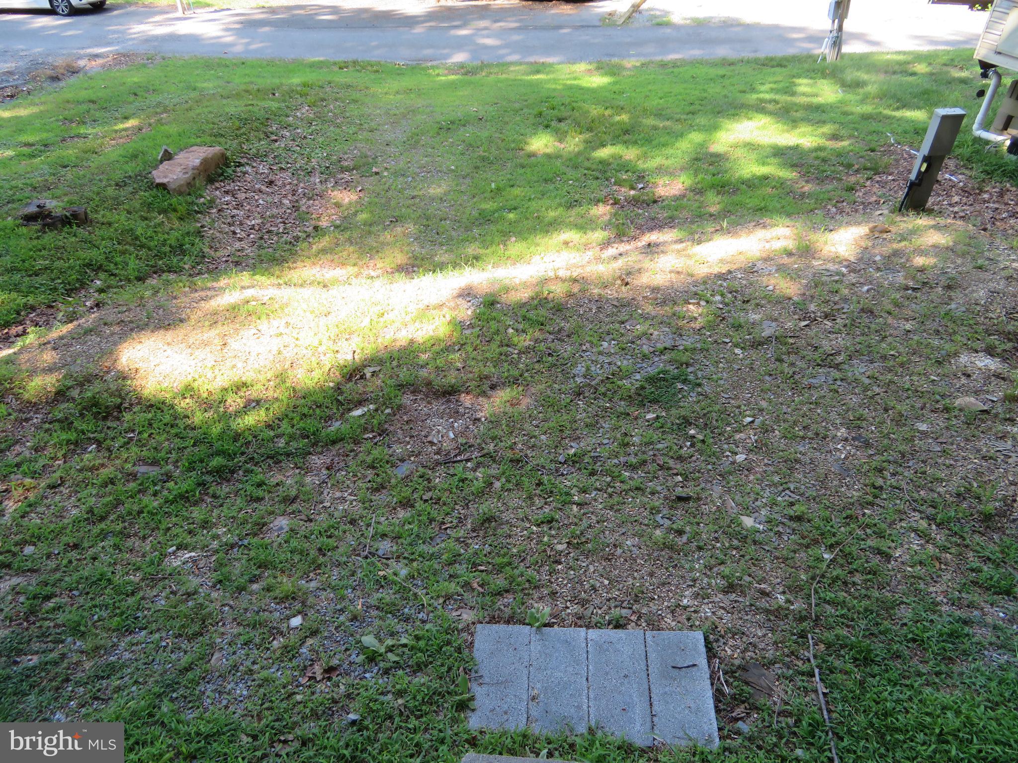 a view of a yard with a tree